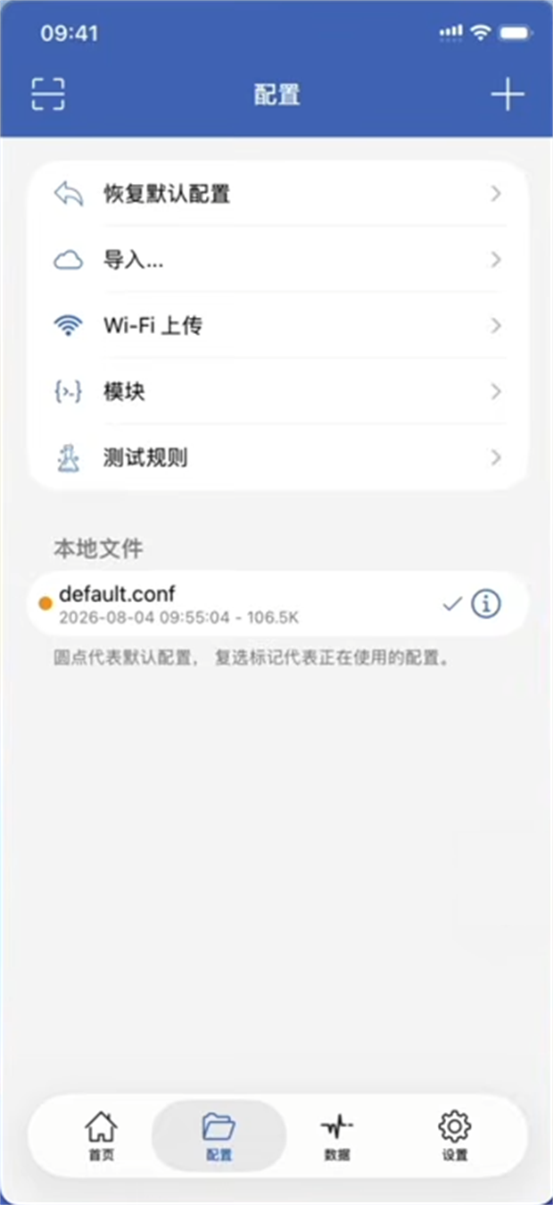 Shadowrocket 小火箭客户端配置页界面示意